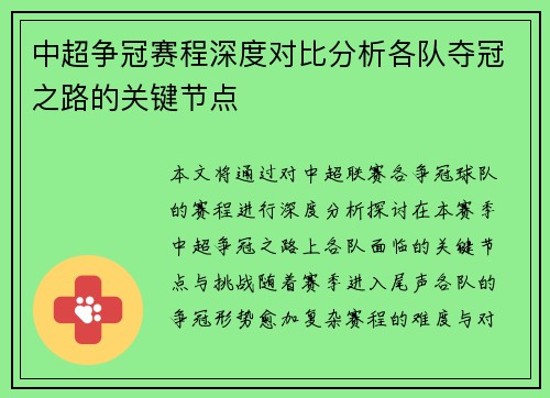 中超争冠赛程深度对比分析各队夺冠之路的关键节点